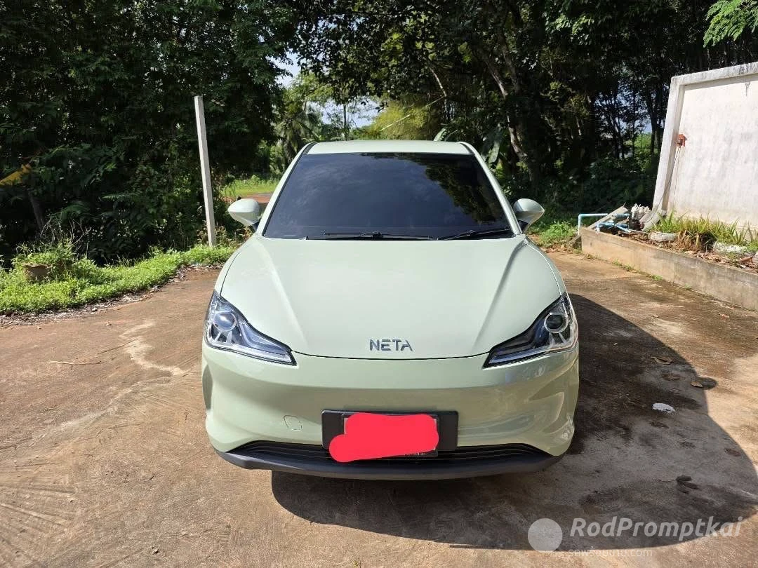 Neta V