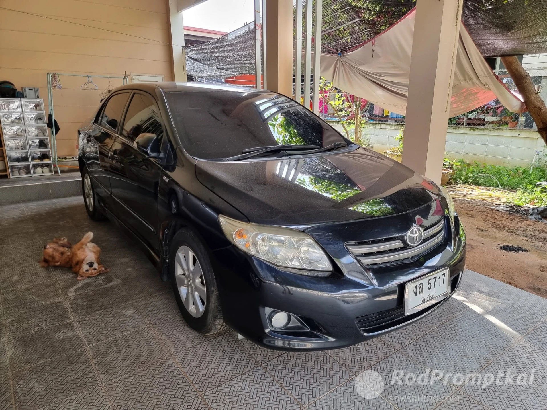 2008 TOYOTA COROLLA ALTIS