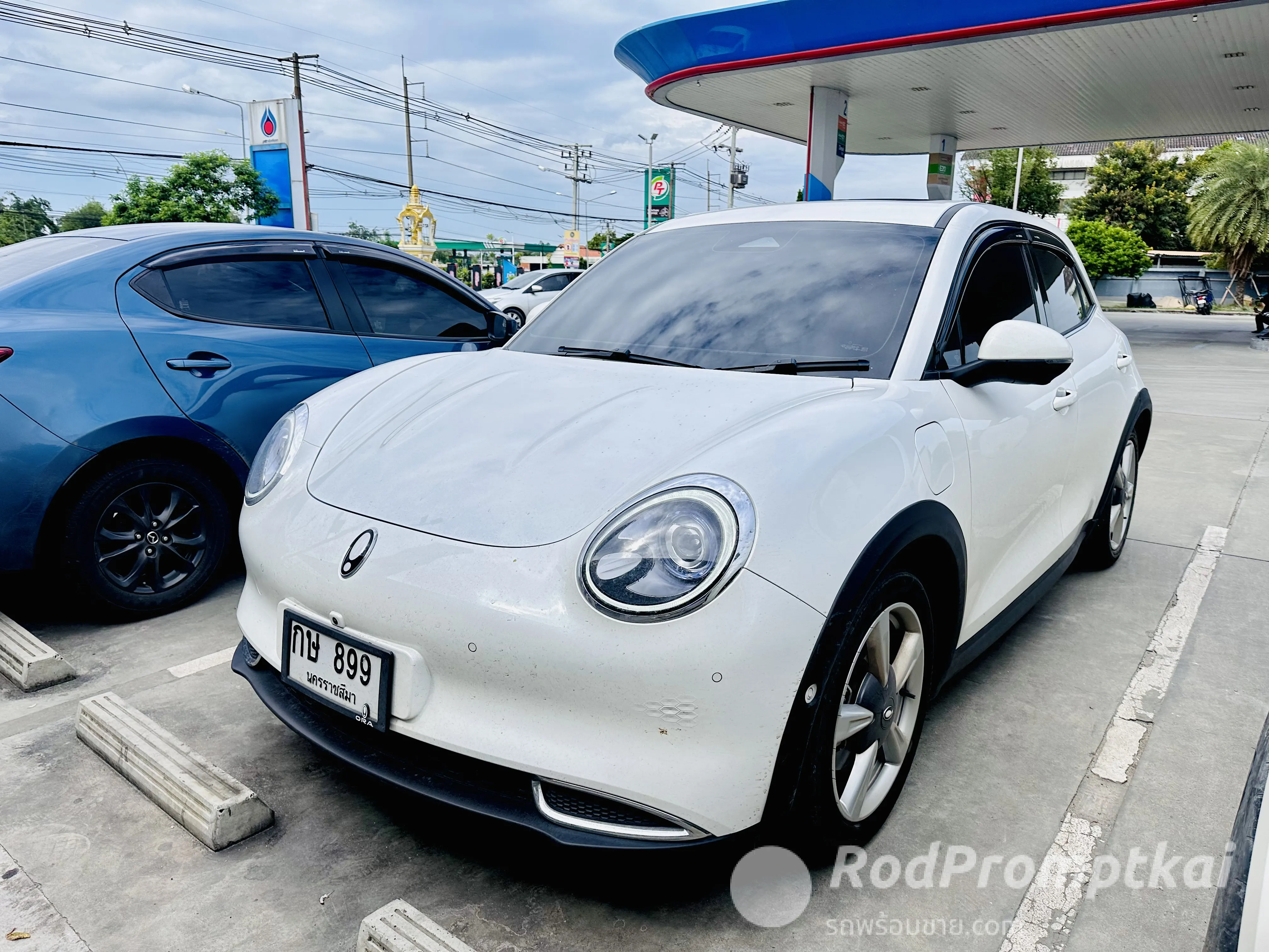 2023-ora-good-cat-500-ultra-nakhon-ratchasima-98237390