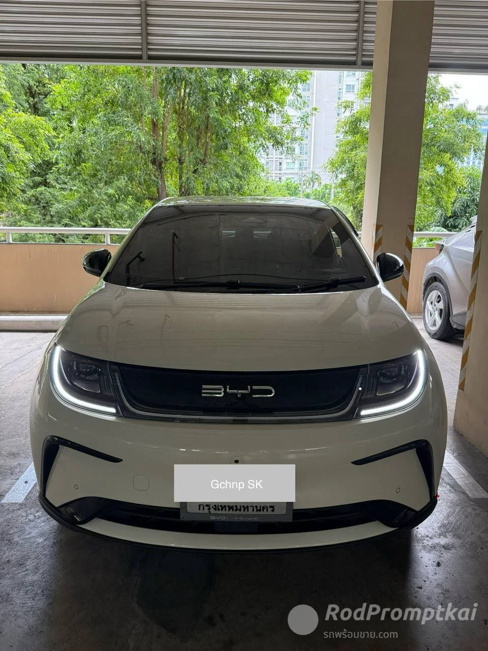 BYD Dolphin