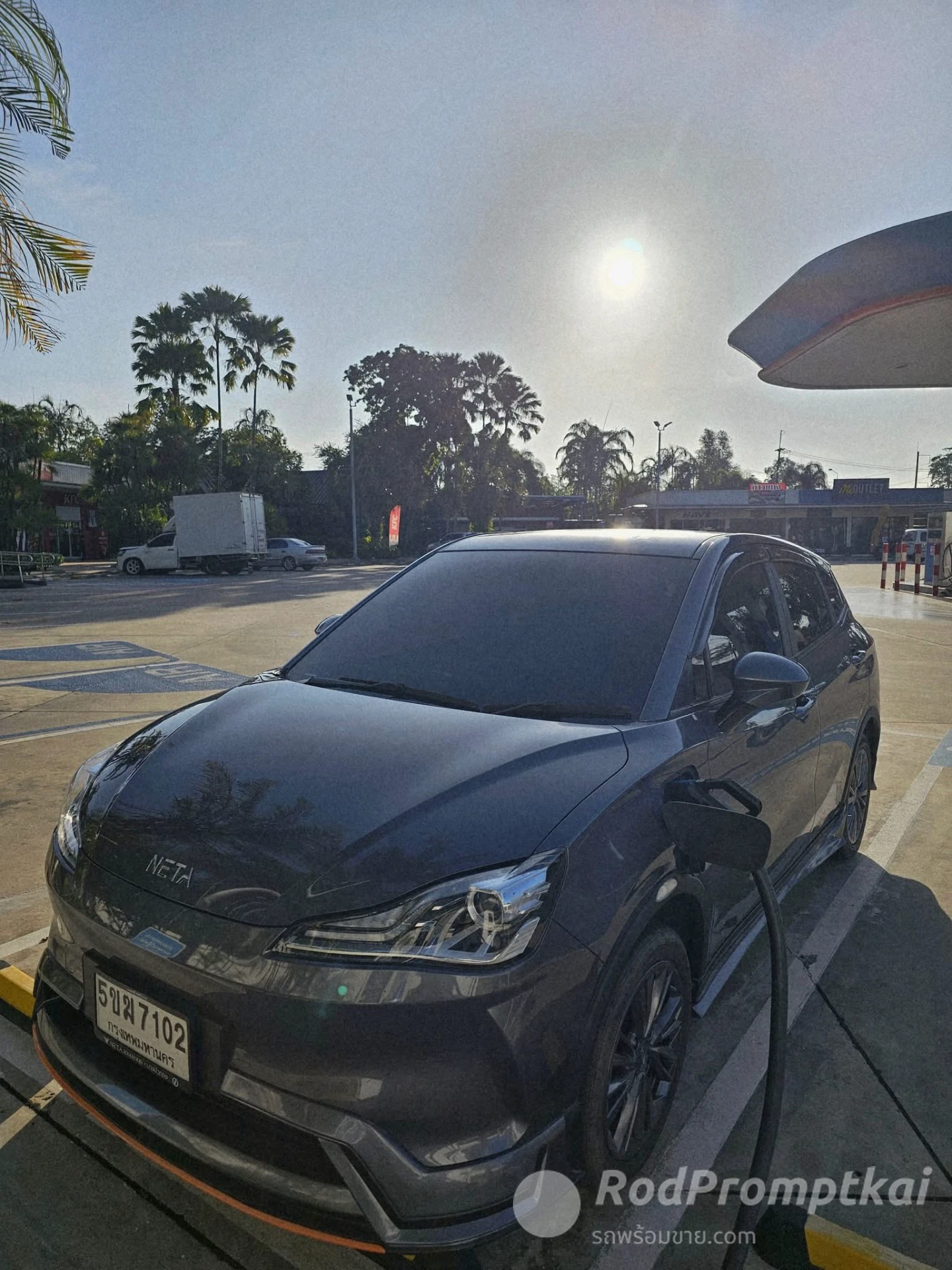 Neta V