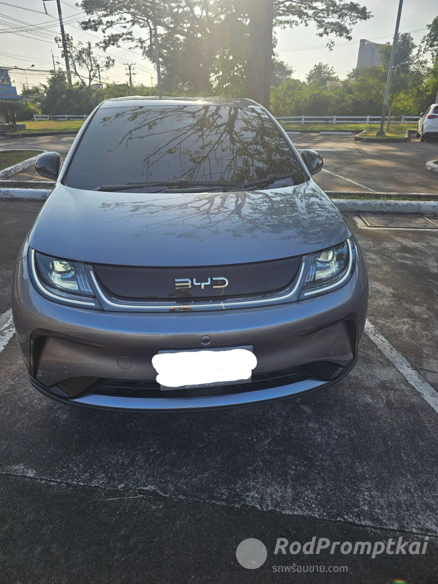 BYD Dolphin