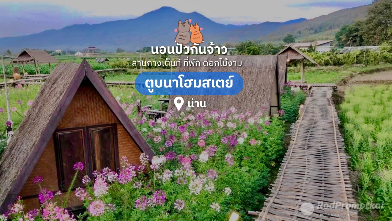 ตูบนา โฮมสเตย์ อ.ปัว | ที่พักวิวสวยกลางทุ่งนา