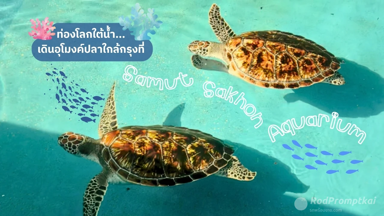 ศูนย์แสดงพันธุ์สัตว์น้ำสมุทรสาคร | Samut Sakhon Aquarium