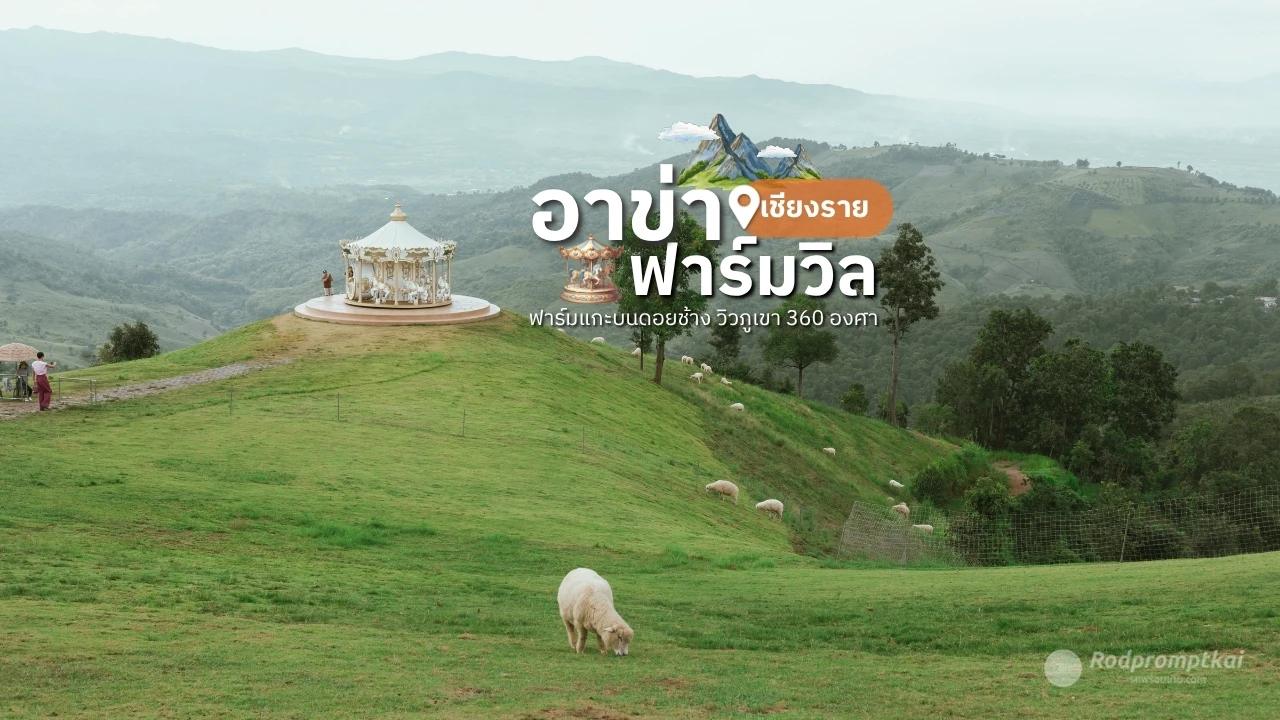 คาเฟ่ที่มีวิวสวย มุมถ่ายรูปเยอะมาก ถ่ายรูปกับน้องแกะน่ารักๆ