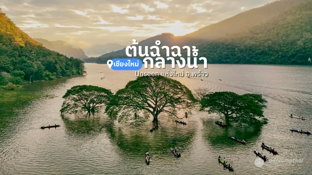 ต้นฉำฉา (จามจุรียักษ์) กลางน้ำ สถานที่ท่องเที่ยวใหม่ในอำเภอพร้าว