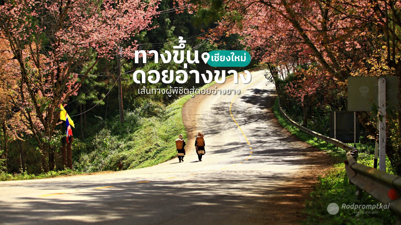 ถนนขึ้นดอยอ่างขาง จ.เชียงใหม่