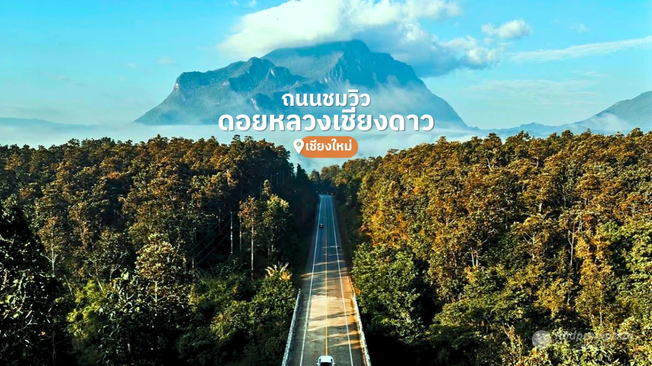 ถนนชมวิว ดอยหลวงเชียงดาว 107