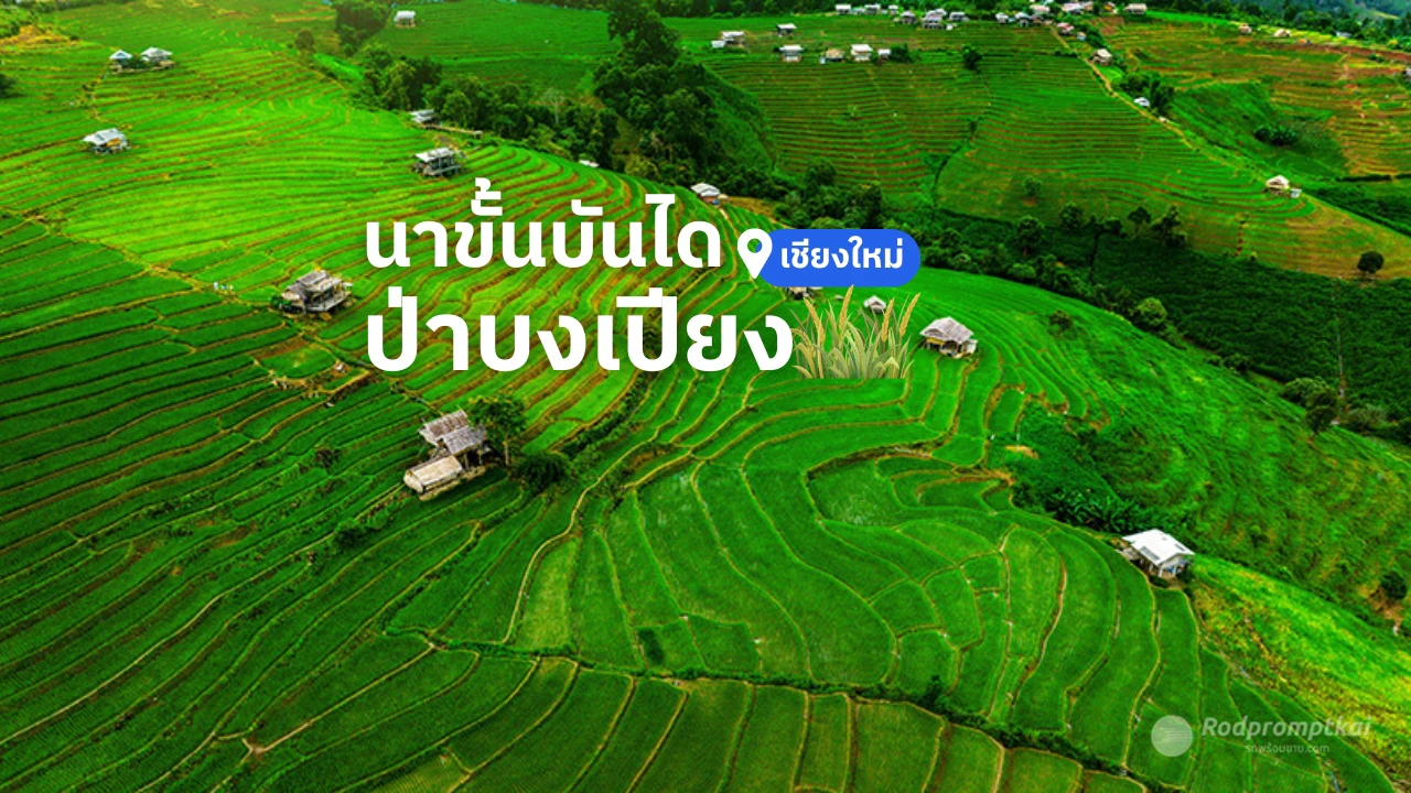 ที่เที่ยวธรรมชาติเพื่อหลีกหนีความวุ่นวายไปรีชาร์จพลังชีวิต "นาขั้นบันได ป่าบงเปียง"