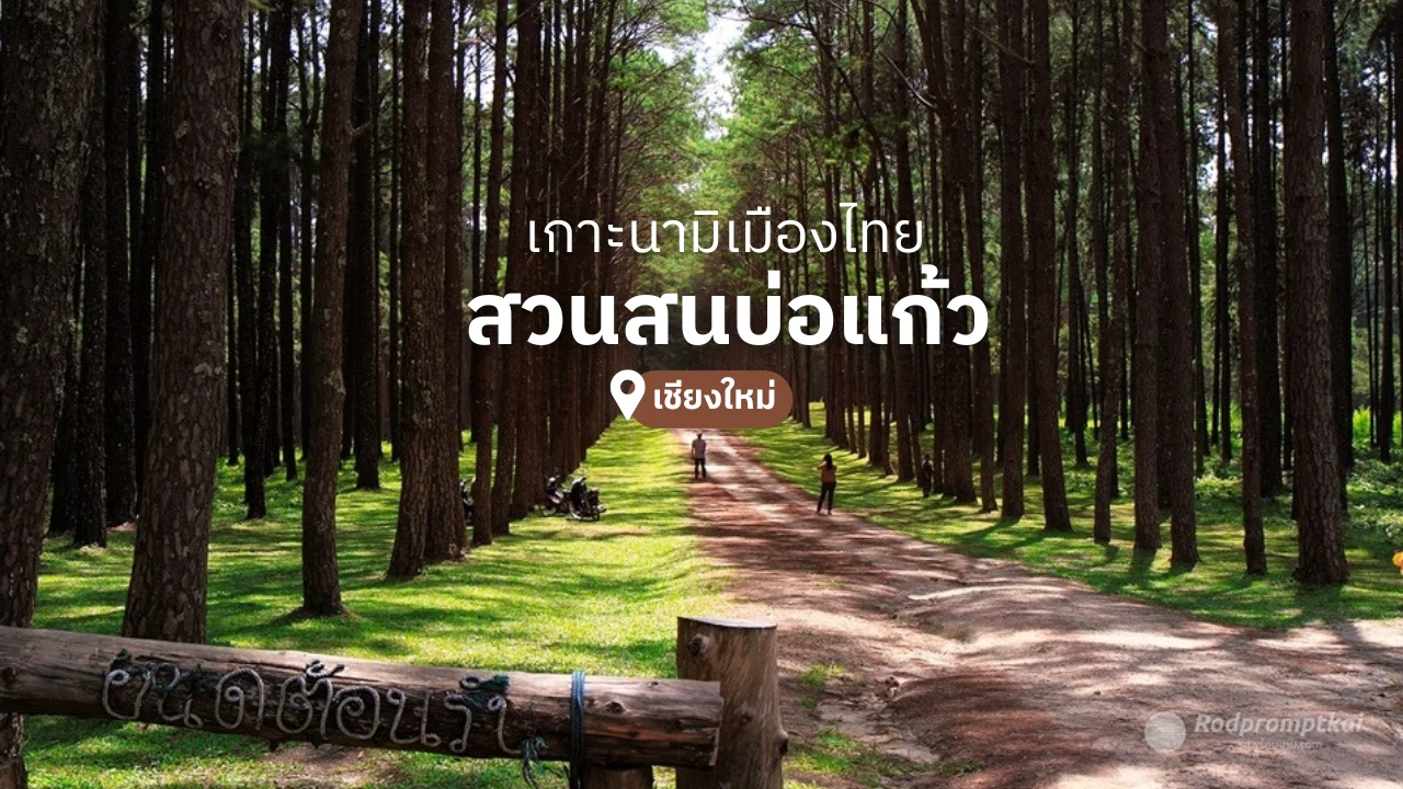 สวนสนบ่อแก้ว เชียงใหม่ เกาะนามิเมืองไทย