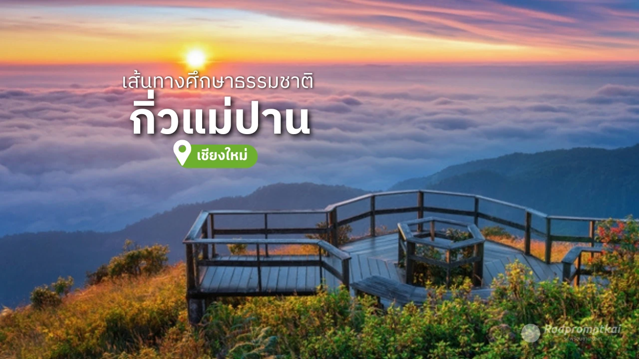 เดินป่ากิ่วแม่ปาน ดอยอินทนนท์ จ.เชียงใหม่